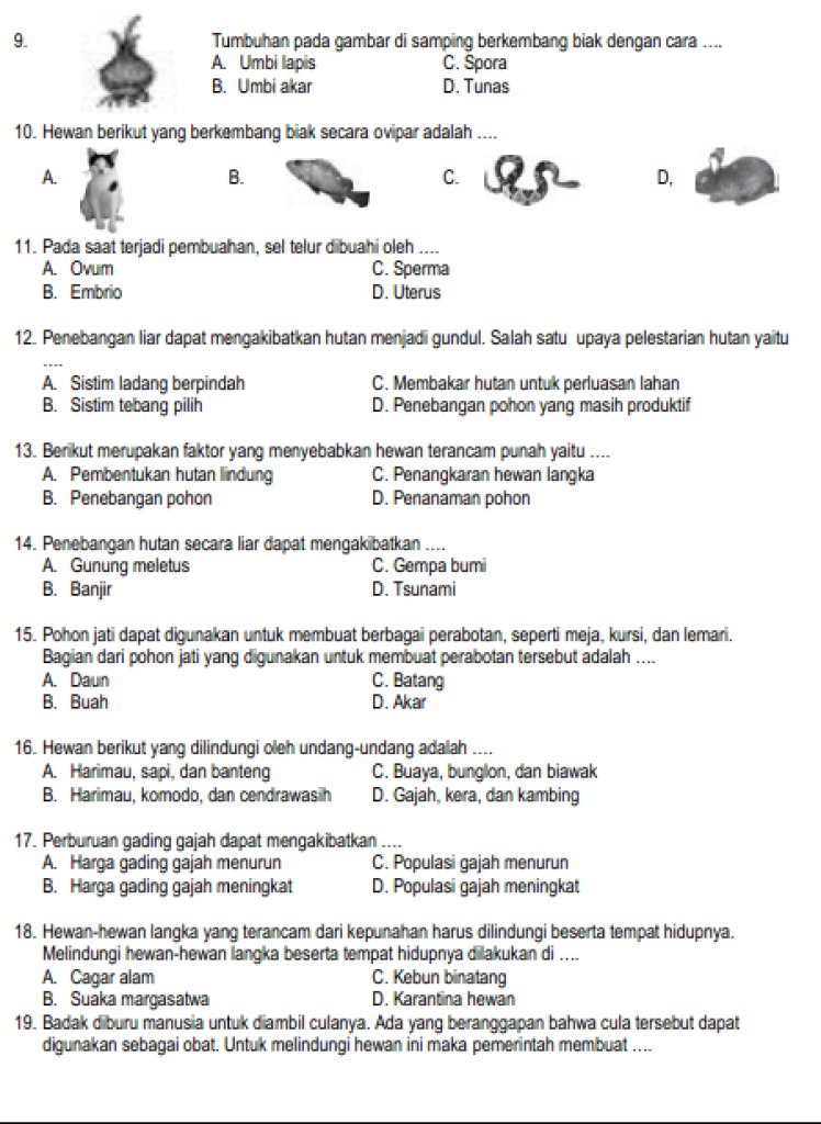 Bocoran 45 Soal UAS IPA Kelas 6 Semester 2 dan Kunci Jawaban yang Sering Keluar di Ujian