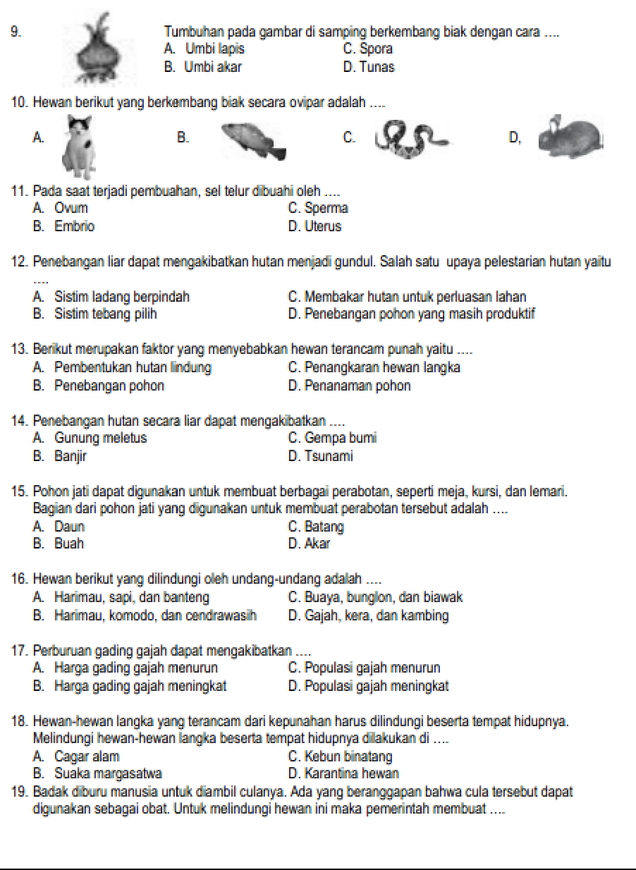 Bocoran 45 Soal UAS IPA Kelas 6 Semester 2 dan Kunci Jawaban yang Sering Keluar di Ujian